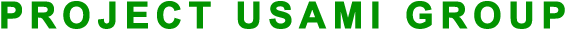 PROJECT USAMI GROUP